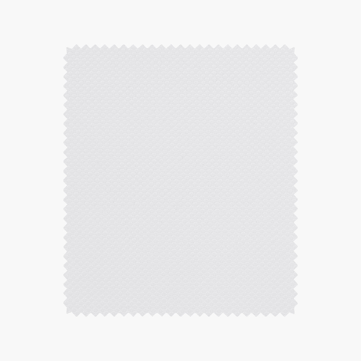 MTM000050 - Marcella